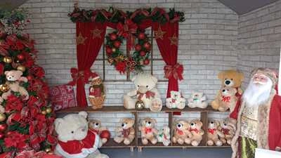 Casa do Papai Noel