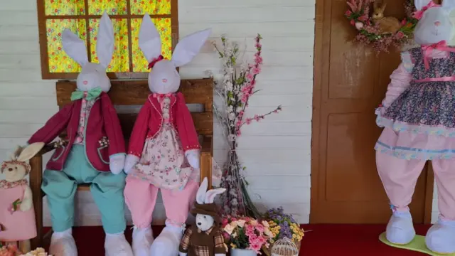 Coelhos na Entrada